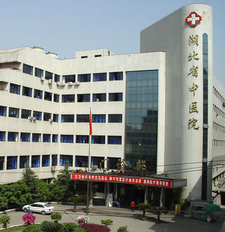 湖北省中醫院項目